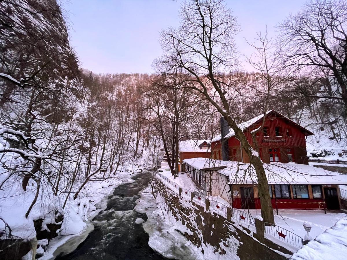 Gasthaus Koenigsruhe Hotell Thale Exteriör bild